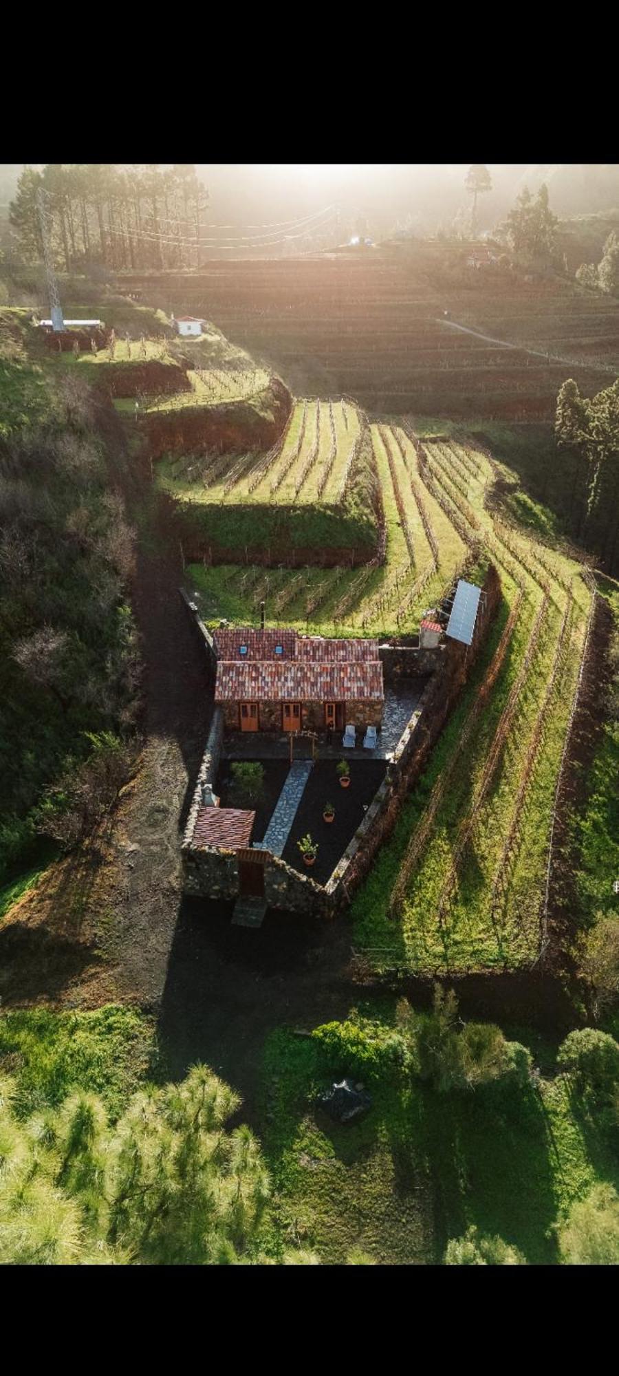 Finca Hortensia El Castillo (La Palma) Exterior foto